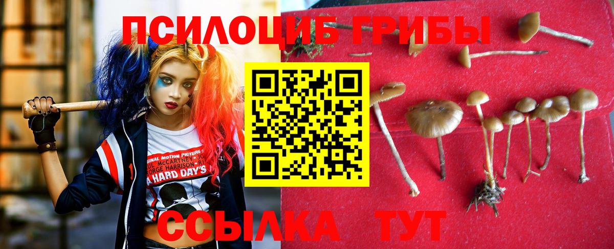 Галлюциногенные грибы мицелий Новозыбков