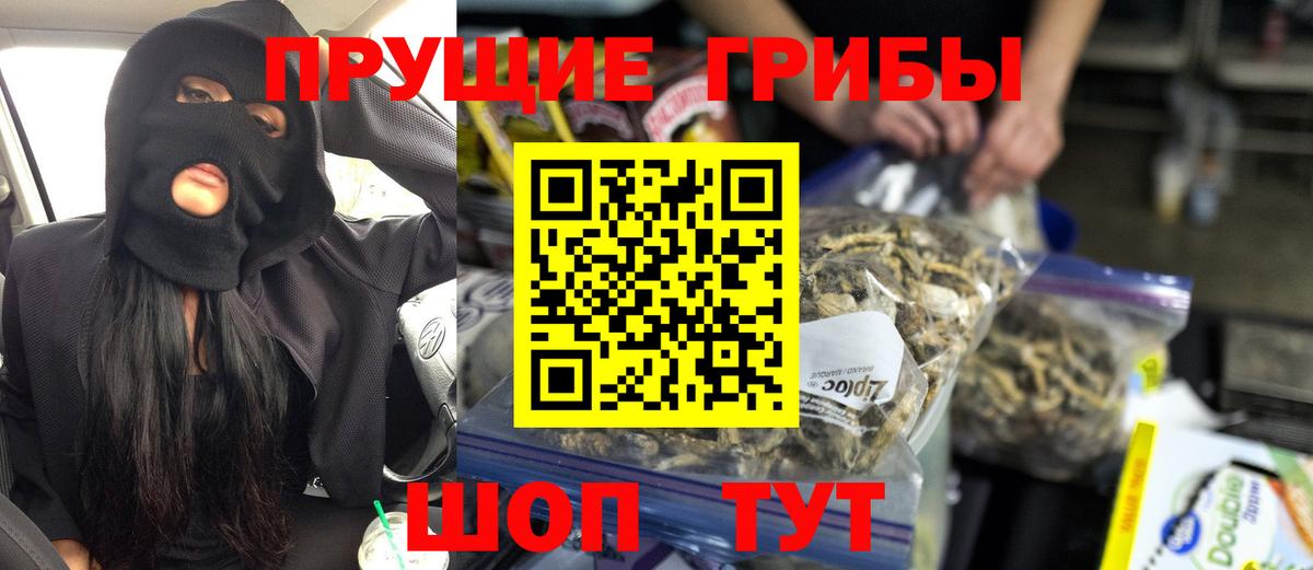 Новозыбков  Галлюциногенные грибы мухоморы  Вход с VPN  Галлюциногенные грибы мицелий 