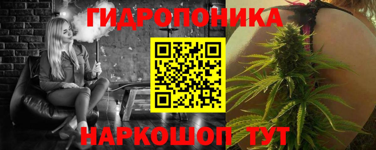 Марихуана гибрид Новозыбков